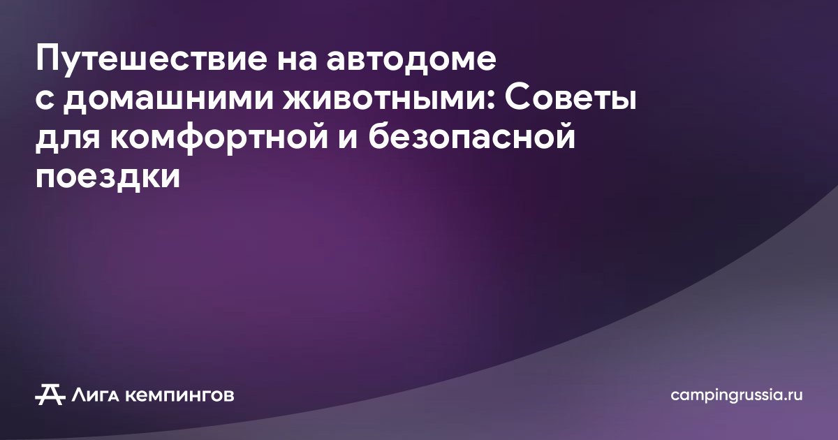 Путешествие на автодоме с домашними животными: Советы для комфортной и безопасной поездки